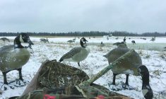 Goose Break allows Cree hunters reconnect with the past