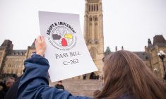 On the precipice: Romeo Saganash’s bill will see UN Indigenous Rights Declaration become Canadian law