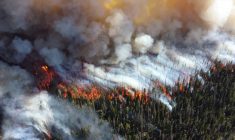 Mines and communities work together to fight forest fires during hot and dry July